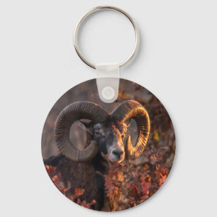 Herfst Mouflon Ram Originele Wilde Dieren Fotograf Sleutelhanger