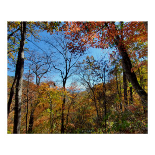 Herfst Mountain Hike Forest Leaves Perfect Poster