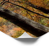 Herfst Mountain Hike Forest Leaves Perfect Poster (Hoek)