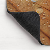 Herfst Muismat (Hoek)