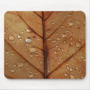Herfst Muismat