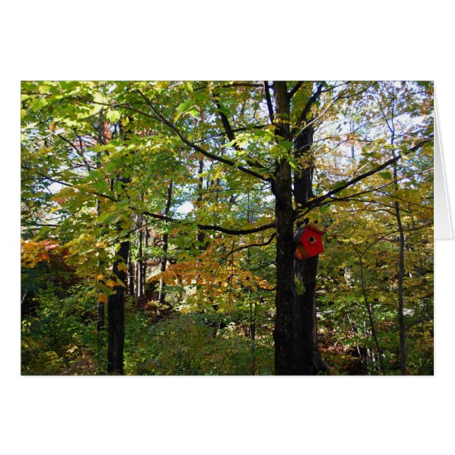 Herfst Noord-Orntario (Voorkant Horizontaal)