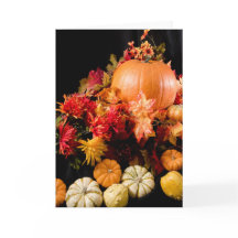 Herfst Oogst - Pompoen en kalebas stilleven