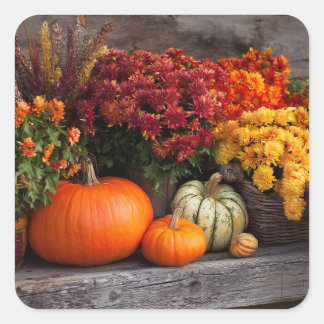Herfst oogst tafeldecoratie - Herfst pompoenen Blo Vierkante Sticker