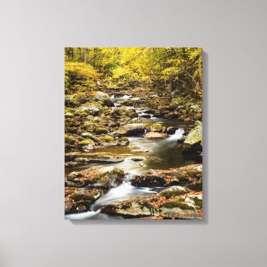Herfst op Big Creek Canvas Afdruk (Voorkant)