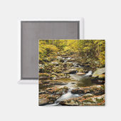 Herfst op Big Creek Magneet (Voorkant / Achterkant)