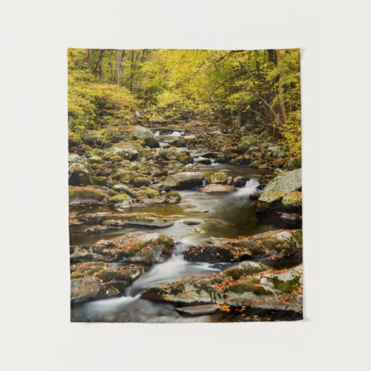 Herfst op Big Creek Wandkleed (Voorkant)