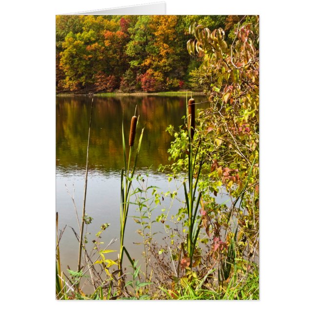 Herfst op Boerderij (Voorkant)