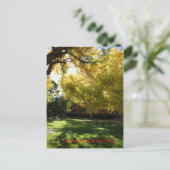 Herfst op campus I Briefkaart (Staand voorkant)