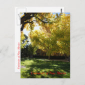 Herfst op campus I Briefkaart (Voorkant / Achterkant)