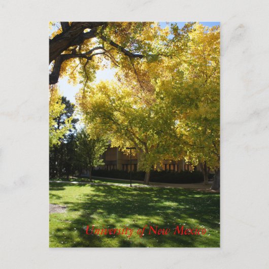 Herfst op campus I Briefkaart (Voorkant)