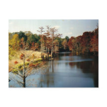 Herfst op de Bayou-ansichtkaart