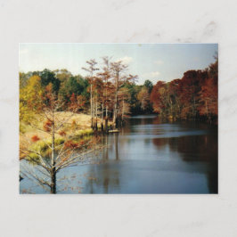 Herfst op de Bayou-ansichtkaart Briefkaart