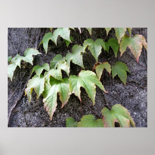 Herfst op de muur poster (Voorkant)