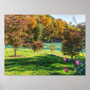 herfst op Dogwood Poster