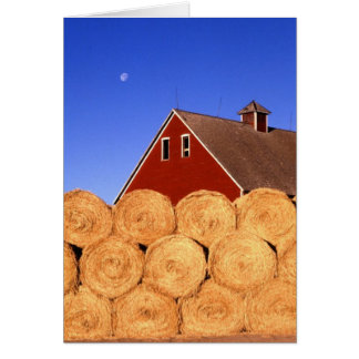 Herfst op het Boerderij