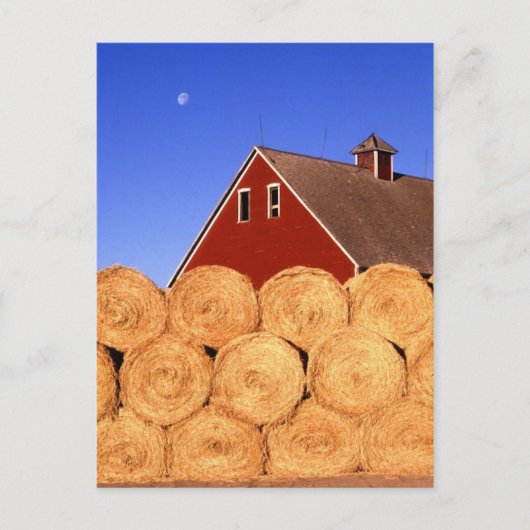 Herfst op het Boerderij Briefkaart (Voorkant)