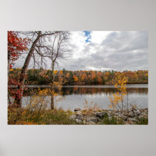 Herfst op het Poster Haviland Cove Beach