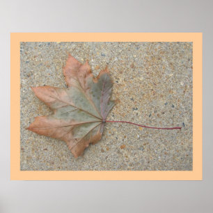 Herfst op het Trottoir Poster