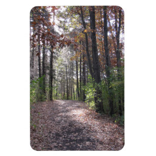 Herfst pad magneet