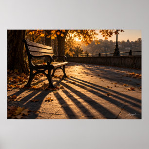 Herfst Parkbank Schaduw Fotografie Poster