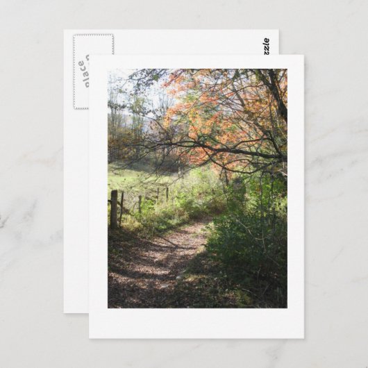 Herfst Path Briefkaart (Voorkant / Achterkant)