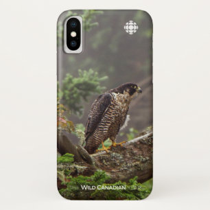 Herfst - Peregrine Falcon iPhone X Hoesje