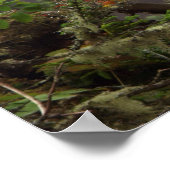 Herfst - Peregrine Falcon Poster (Hoek)