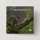 Herfst - Peregrine Falcon Vierkante Button 5,1 Cm (Voorkant)