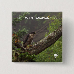 Herfst - Peregrine Falcon Vierkante Button 5,1 Cm