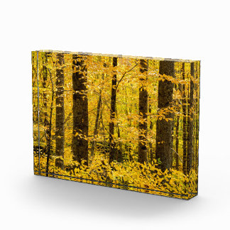 Herfst Pisgah National Forest Fotoblokken