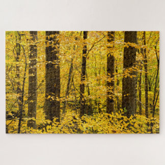 Herfst Pisgah National Forest Legpuzzel