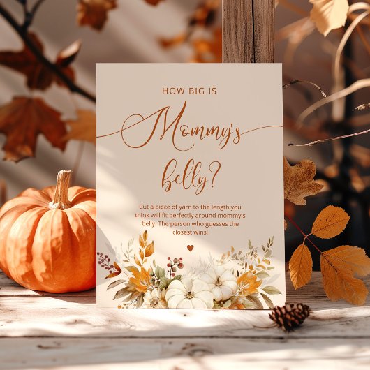 Herfst pompoen Hoe groot is mama's buik spel Poster