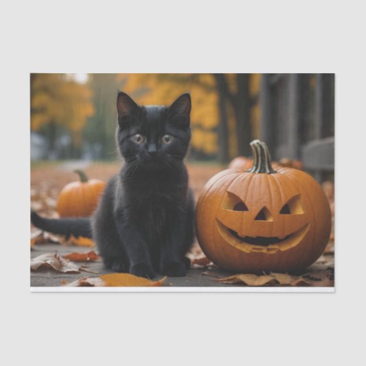 Herfst Pompoen Sweet Black kitten decoupage Tissuepapier (Voorkant)