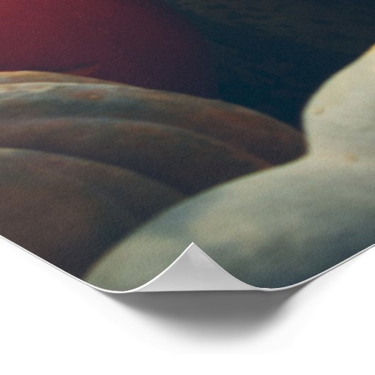 Herfst pompoenen in een rustieke tuin poster (Hoek)