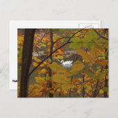Herfst Pond met Zwan Briefkaart (Voorkant / Achterkant)