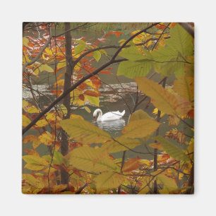 Herfst Pond met Zwan Magneet