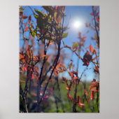 Herfst Poster (Voorkant)