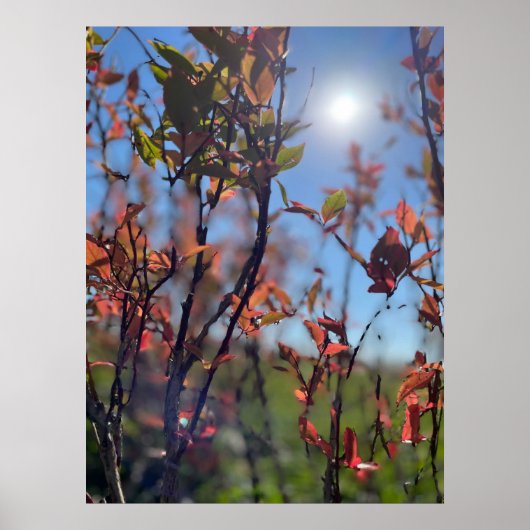 Herfst Poster (Voorkant)