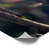 Herfst Poster (Hoek)