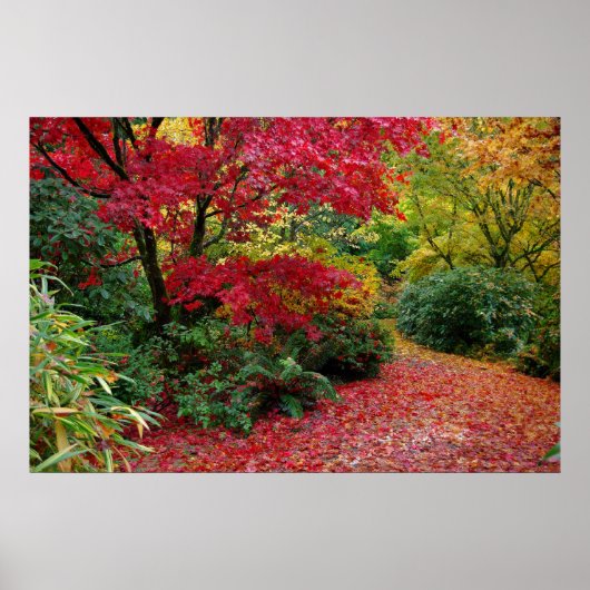 herfst poster (Voorkant)