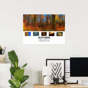 herfst   Poster collectie landschap