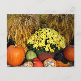 Herfst Pumpkin en Wheat Invitation Kaart