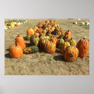 Herfst Pumpkin Sale Poster
