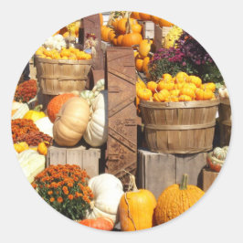 Herfst Pumpkins Glossy Stickers