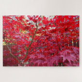 Herfst Red Maple Tree Legpuzzel (Horizontaal)