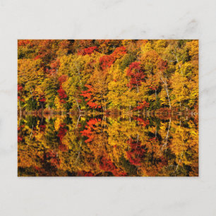 Herfst Reflection op Russell Pond   New Hampshire Briefkaart