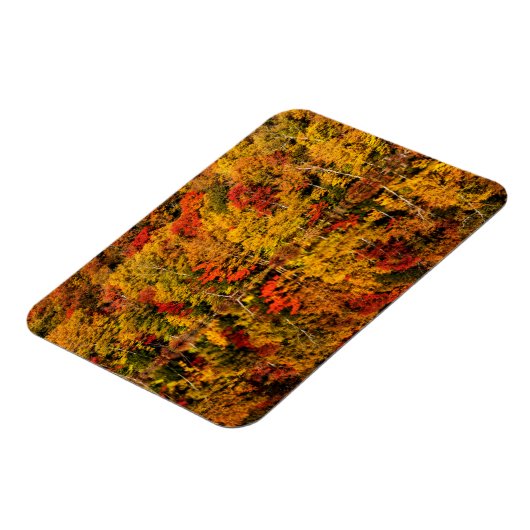 Herfst Reflection op Russell Pond | New Hampshire Magneet (Linkerzijde)