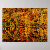 Herfst Reflection op Russell Pond | New Hampshire Poster (Voorkant)