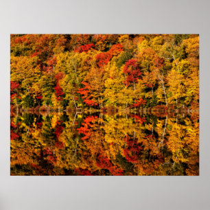 Herfst Reflection op Russell Pond New Hampshire Poster